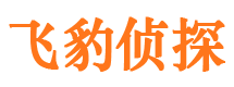 长安市私家侦探